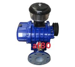 SUPERLAND MỸ AF80 CÔNG XUẤT 40KW4M3P